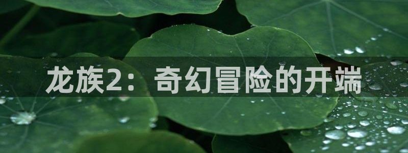 歪歪漫画cnom：龙族2：奇幻冒险的开端