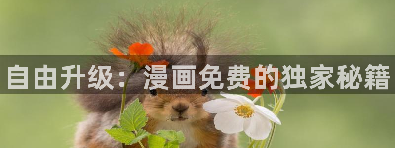 歪歪漫画sss韩国：自由升级：漫画免费的独家秘籍