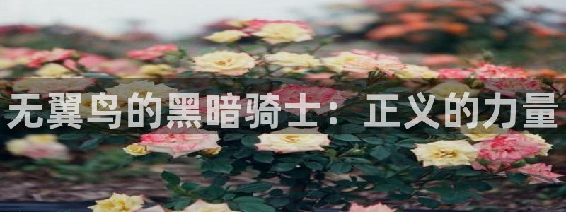 日本漫画歪歪漫画：无翼鸟的黑暗骑士：正义的力量